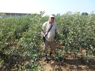 The EAM at Gruber Genetti Nurseries